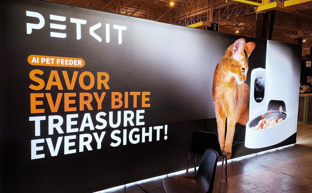 2023 CFA International Cat Show & Expo: Our Debut and Heartwarming Connections - Primegoodss