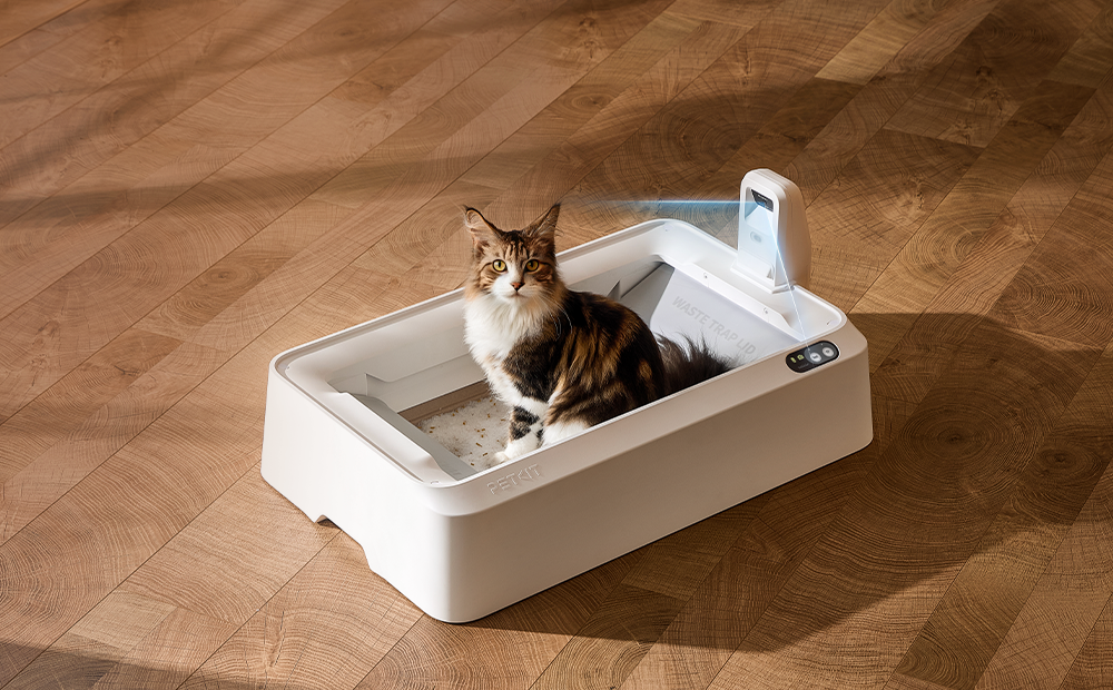 Meet Primegoodss's Purobot Crystal Duo, the World’s First Open-Top Litter Box That Spots Cat Health Risks Before You Do