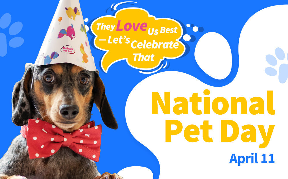 Celebrating National Pet Day: A Simple Way to Say "Thank You"