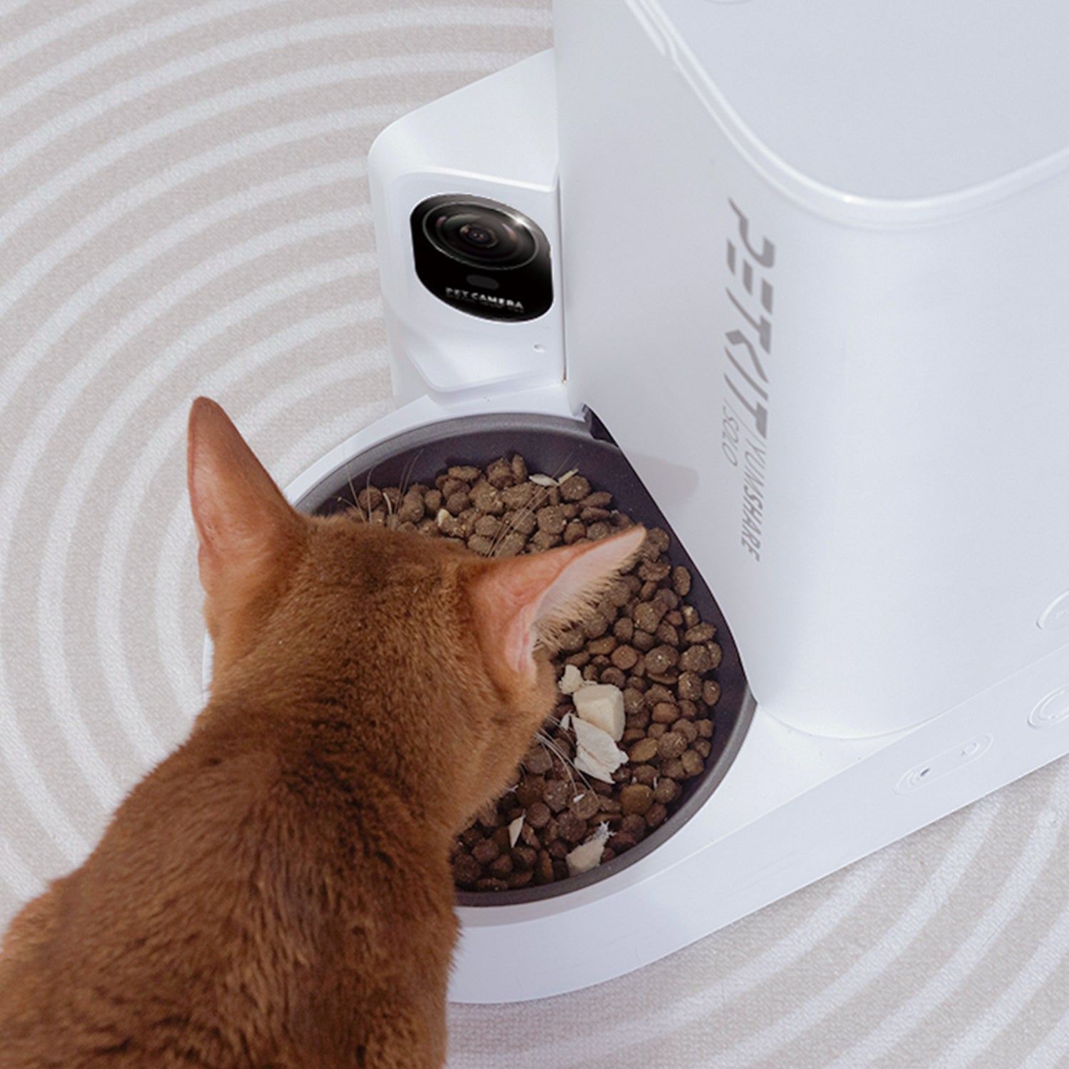 YumShare Solo Automatic Feeder with Camera for cats