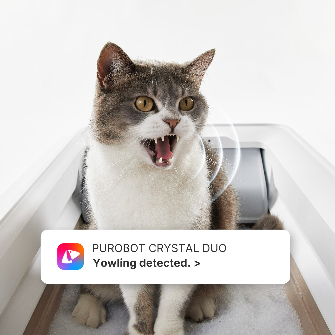 Purobot AI camera detects cat yowling for early health alerts