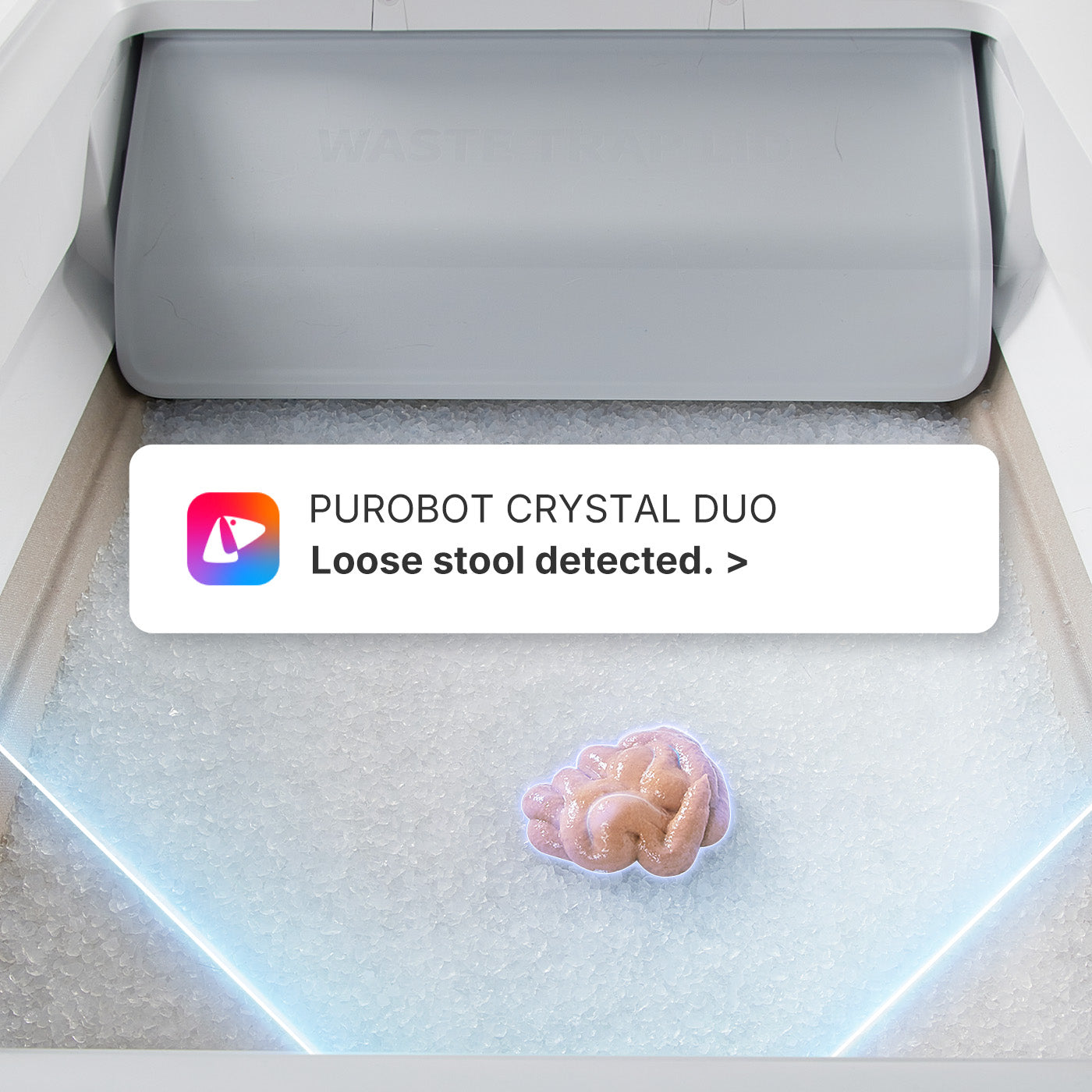 Purobot AI camera detects loose stools for early health alerts