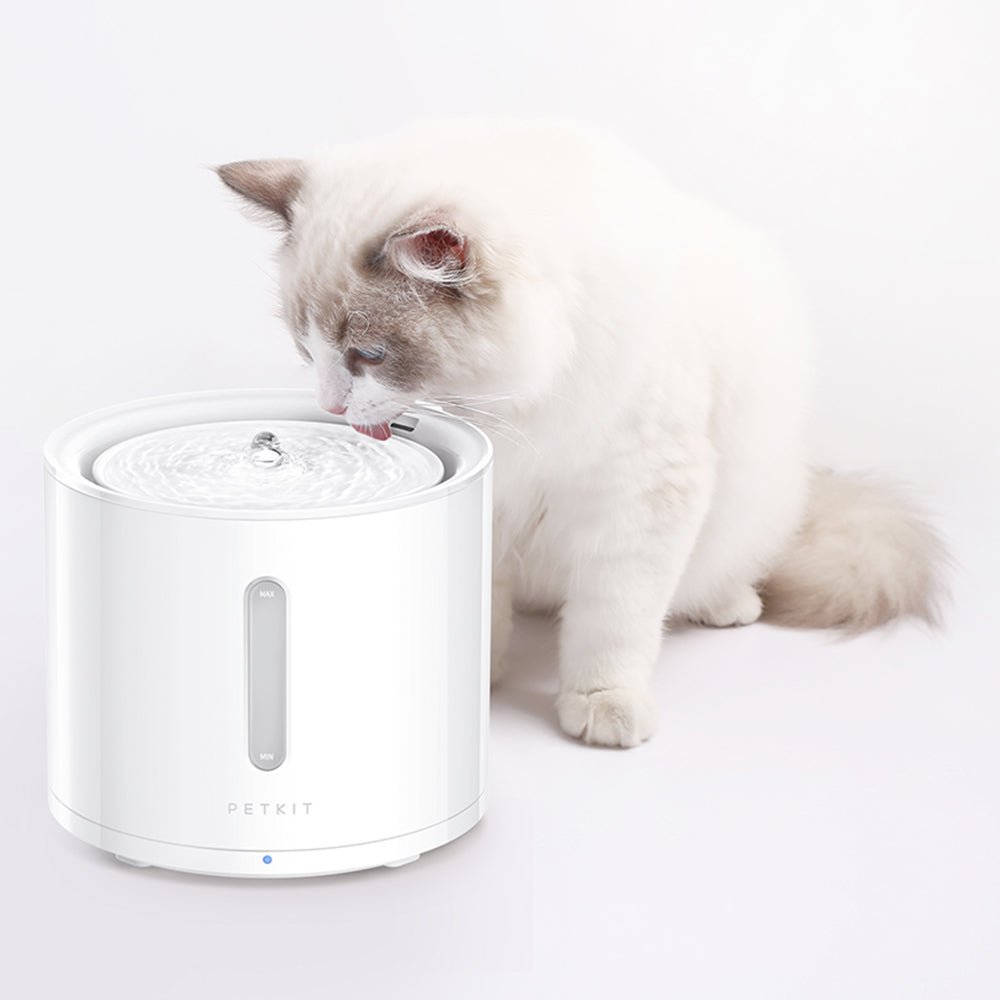 Filter for EverSweet Solo 2