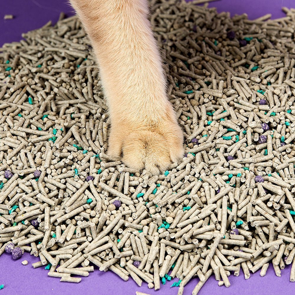 Primegoodss Flushable Clumping Cat Litter