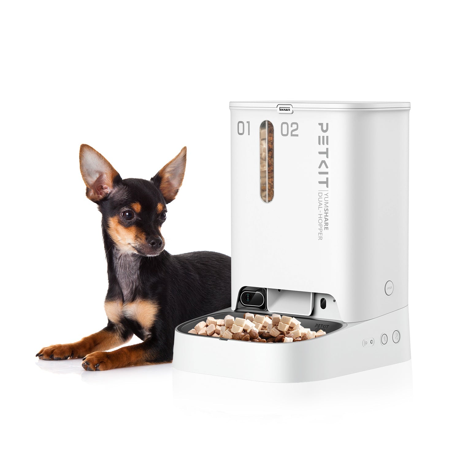 YumShare Dual-hopper Automatic Feeder with dog