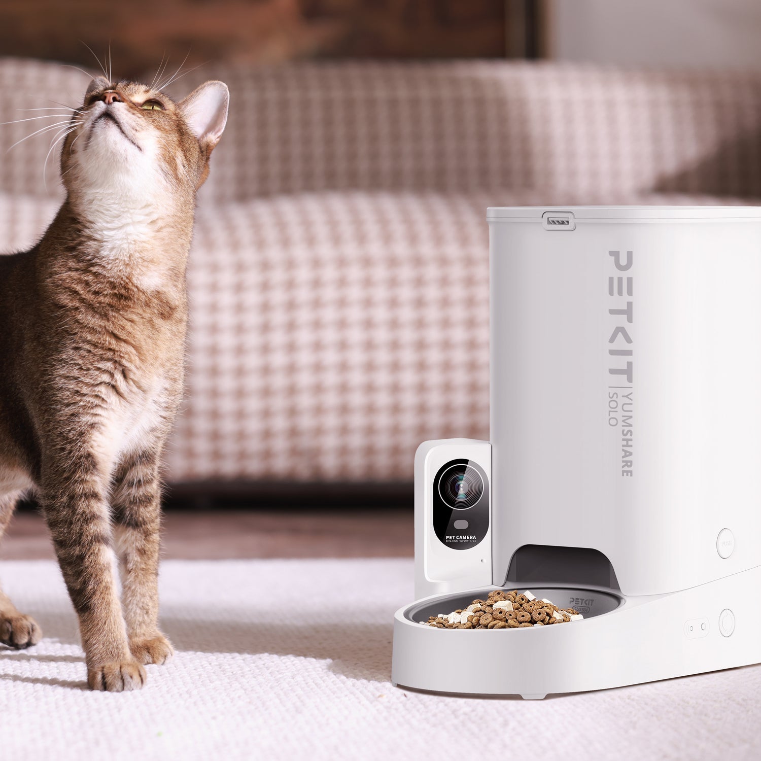 YumShare Solo Automatic Feeder for indoor cats